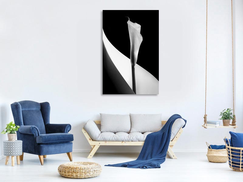 canvas-print-calla-lily-xoq