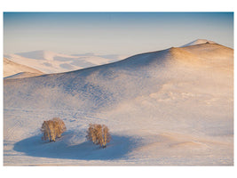 canvas-print-cappuccino-land