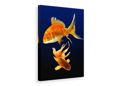 canvas-print-charming-fish