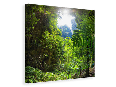 canvas-print-clearing-in-the-jungle