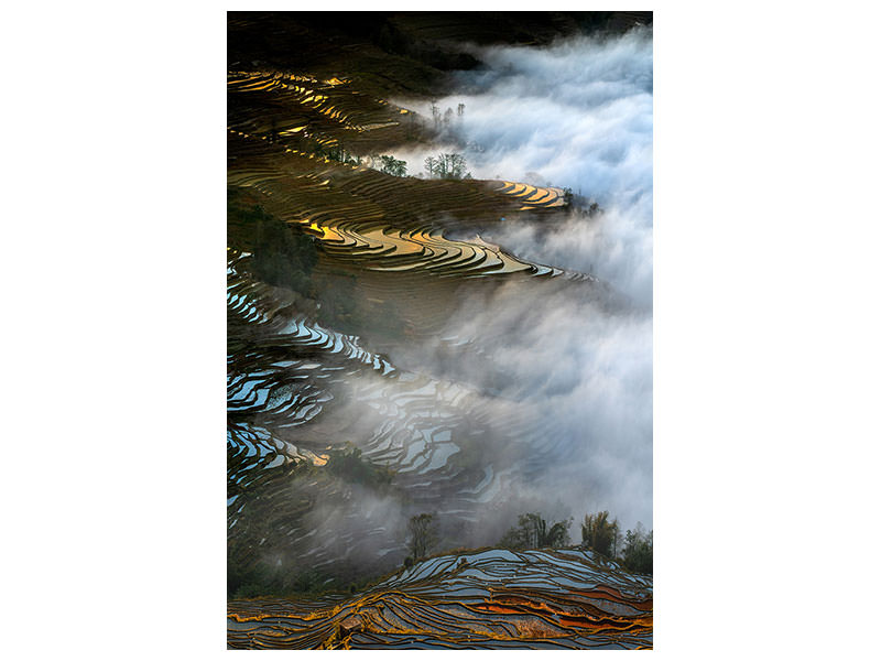 canvas-print-colorful-rice-terraces