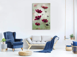 canvas-print-cosmos-sway-x