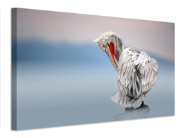 canvas-print-dalmatian-pelican-at-dawn-x