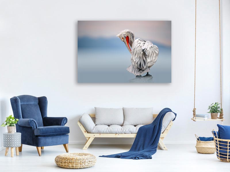 canvas-print-dalmatian-pelican-at-dawn-x