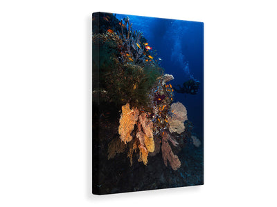 canvas-print-diving