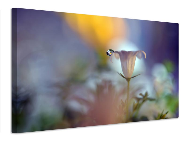 canvas-print-dusk-drop-x