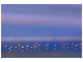 canvas-print-early-morning-xmf