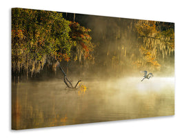 canvas-print-egret