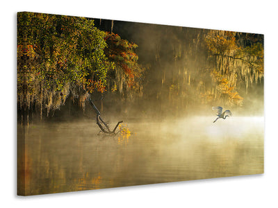 canvas-print-egret