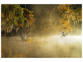 canvas-print-egret