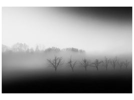 canvas-print-eight-trees-in-the-mist