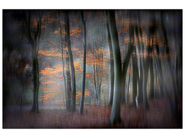 canvas-print-enchanted-forest-xil