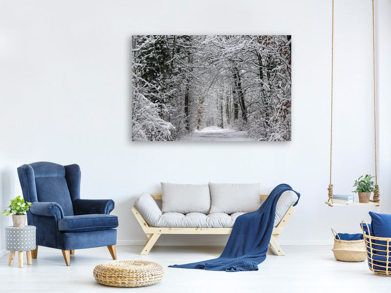 canvas-print-enchanted-winter-forest