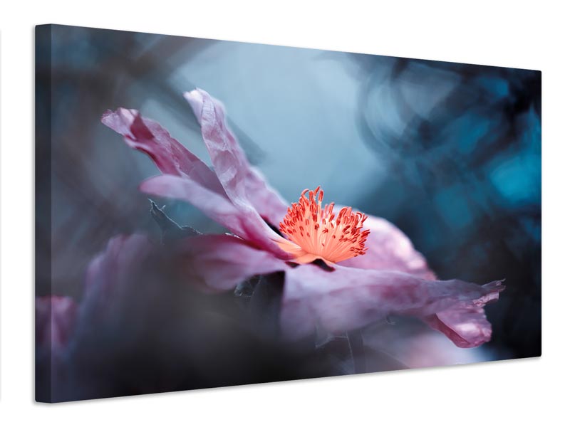 canvas-print-even-flowers-have-stories-to-tell-x