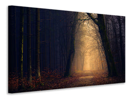 canvas-print-evening-mood-in-the-forest