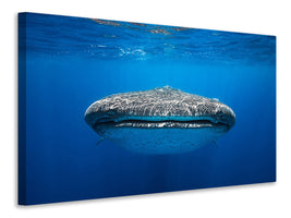 canvas-print-face-to-face-with-a-whale-shark