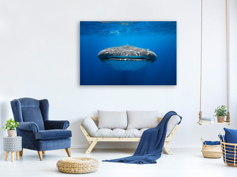 canvas-print-face-to-face-with-a-whale-shark