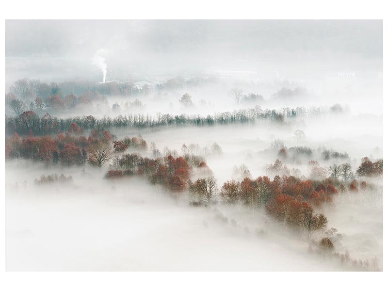 canvas-print-factory-fog-x