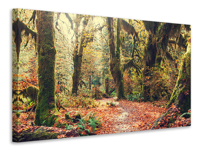 canvas-print-fairies-forest