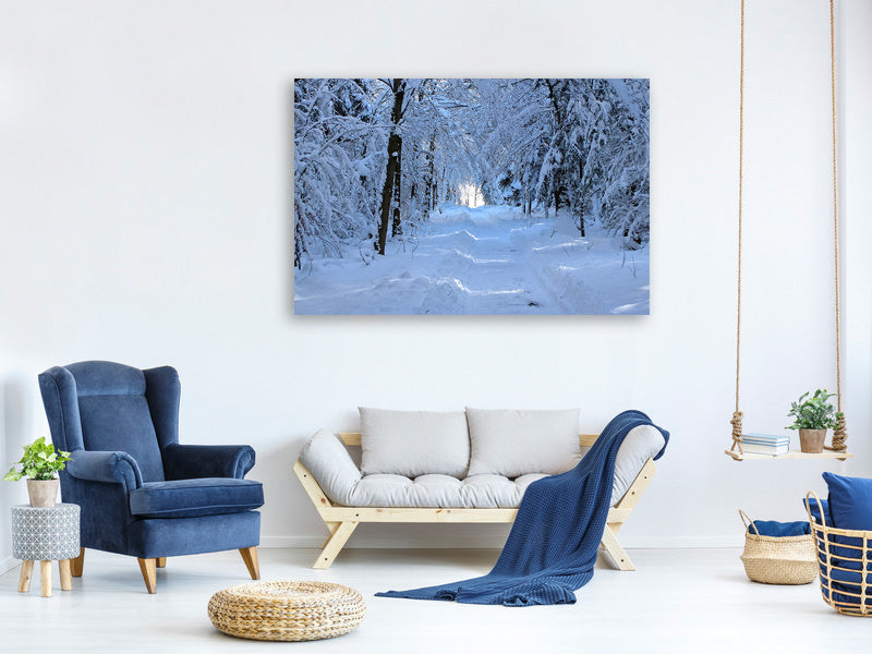 canvas-print-finally-winter