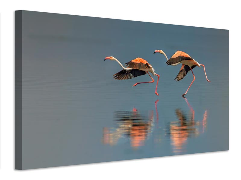 canvas-print-flamingo-landing-x