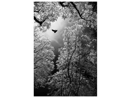 canvas-print-flight-x