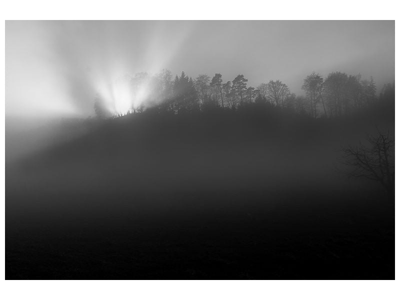 canvas-print-foggy-and-sunny-weather