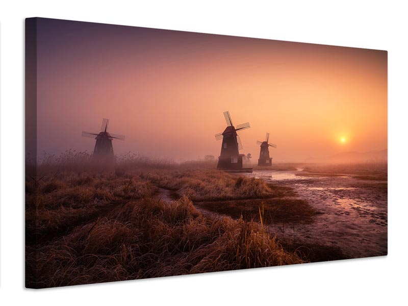 canvas-print-foggy-morning-xji