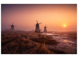 canvas-print-foggy-morning-xji