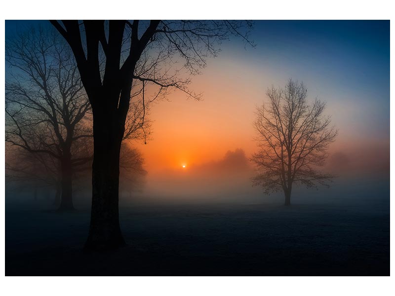 canvas-print-foggy-sunrise-x