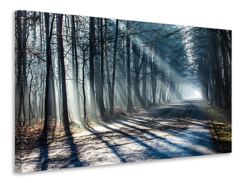 canvas-print-forest-in-the-light-beam