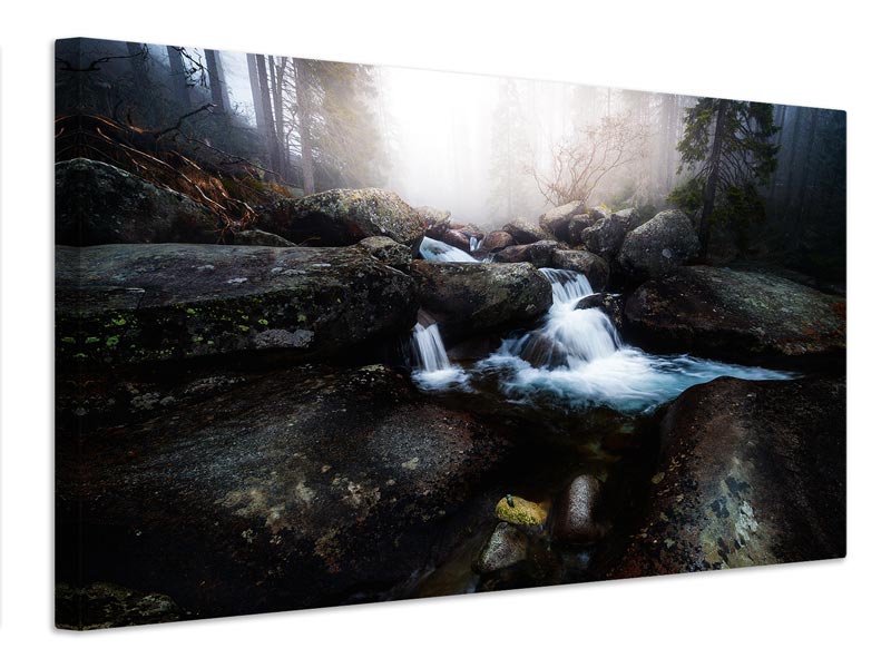 canvas-print-forest-stream-high-tatras-x