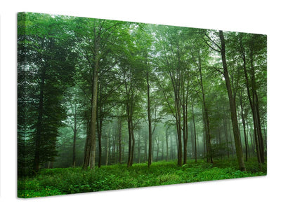 canvas-print-forest-view-x