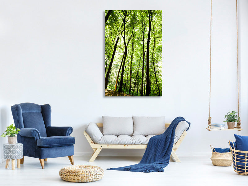 canvas-print-forest