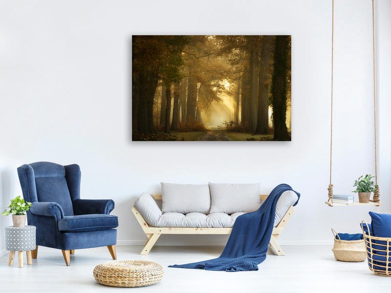 canvas-print-forever-forest-x