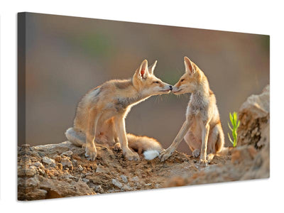 canvas-print-foxes-kiss-x