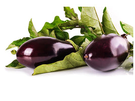 canvas-print-fresh-eggplants