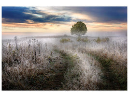 canvas-print-frosty-morning-x