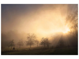 canvas-print-glorious-morning-x