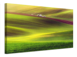 canvas-print-golden-fields-x