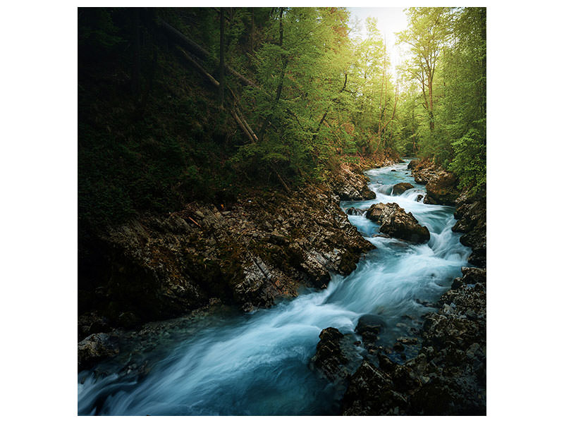 canvas-print-gorge-ii