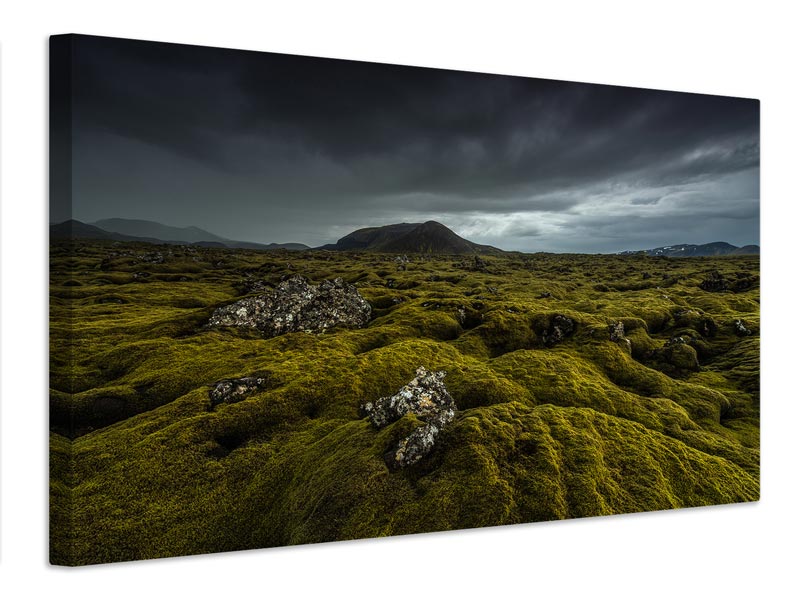 canvas-print-green-carpet-x