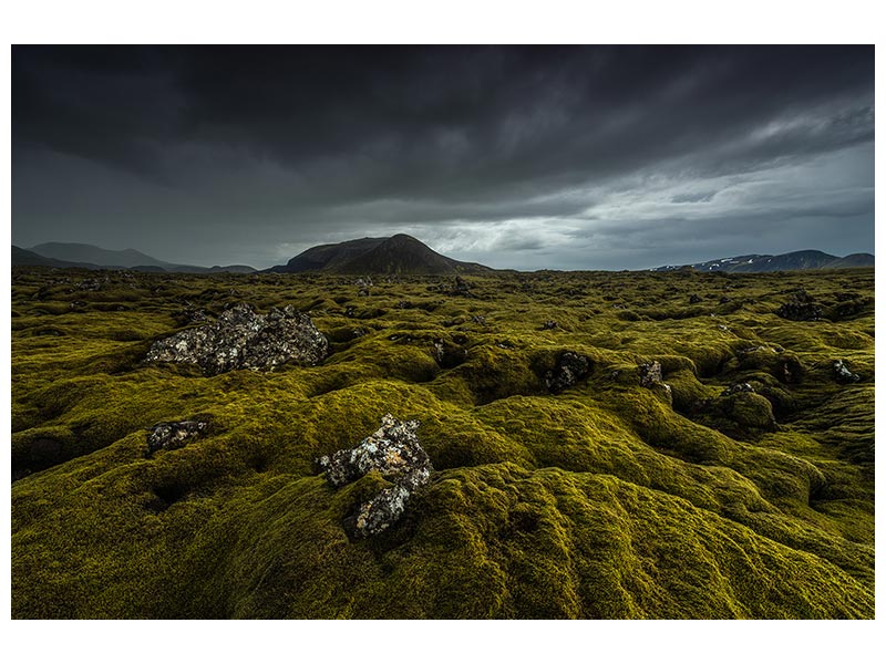 canvas-print-green-carpet-x