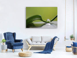 canvas-print-green-harmony-x