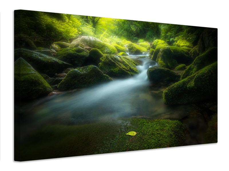 canvas-print-green-stone-x