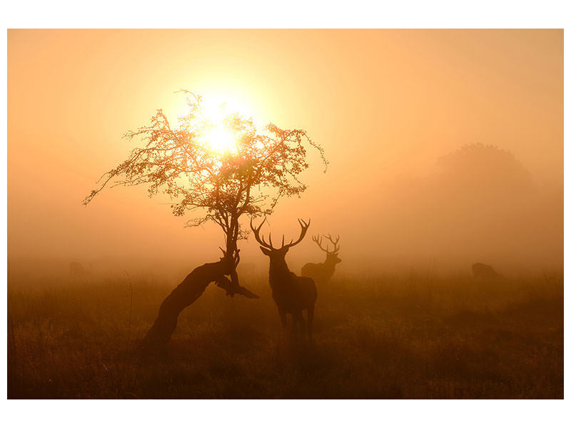 canvas-print-guardians-of-light