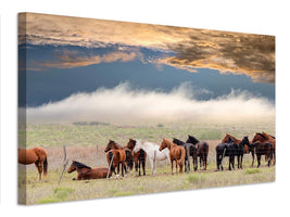 canvas-print-horses-x