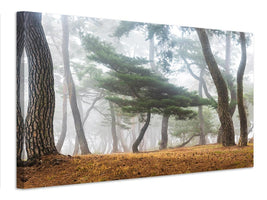 canvas-print-in-the-misty-pine-forest-x