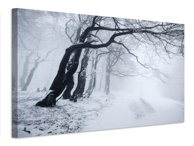 canvas-print-in-the-winter-forest-x