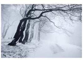 canvas-print-in-the-winter-forest-x